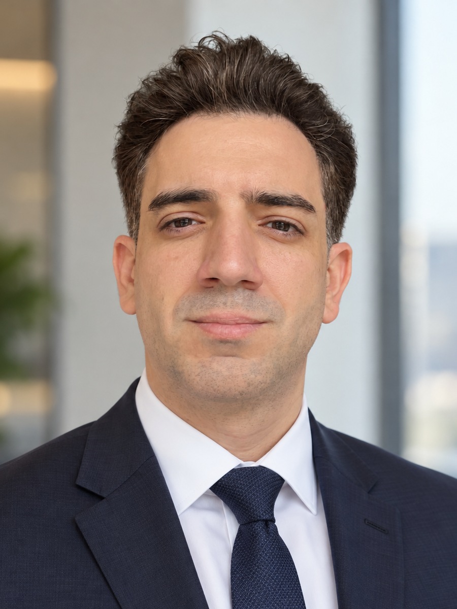 שלומי זזון, בעלים ויועץ ויזות